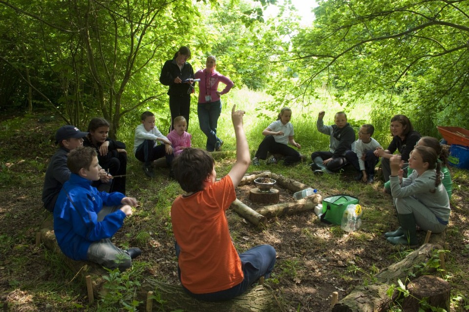 nature-based somatic healing experience for nervous system reset