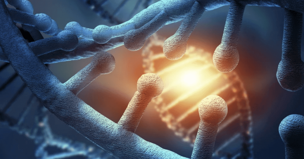 Stem Cell Visualization